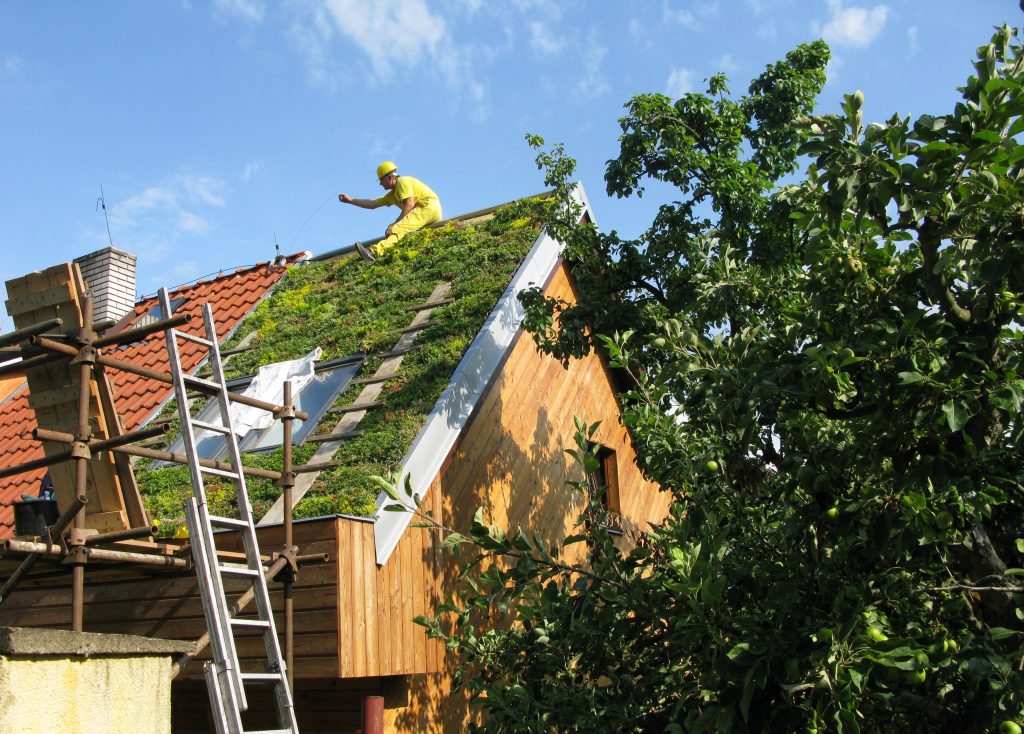 realizace zelené střechy