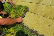 realizace zelené střechy