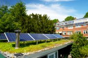 solární panely na zelené střeše