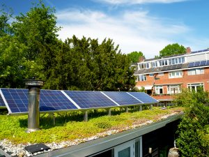 solární panely na zelené střeše