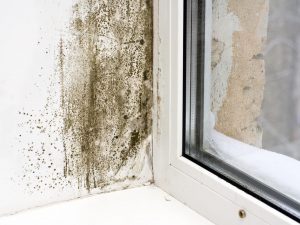 Plnou parou proti vlhkosti aneb Sanace zdiva