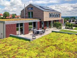 Zelená střecha – zeminový systém nebo minerální vegetační systém?